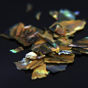 Abalone Shells (Olive) — detail view 3