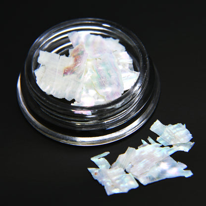 Abalone Shells (White)