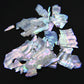 Abalone Shells (White)