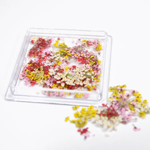 Dried Flowers -  #03