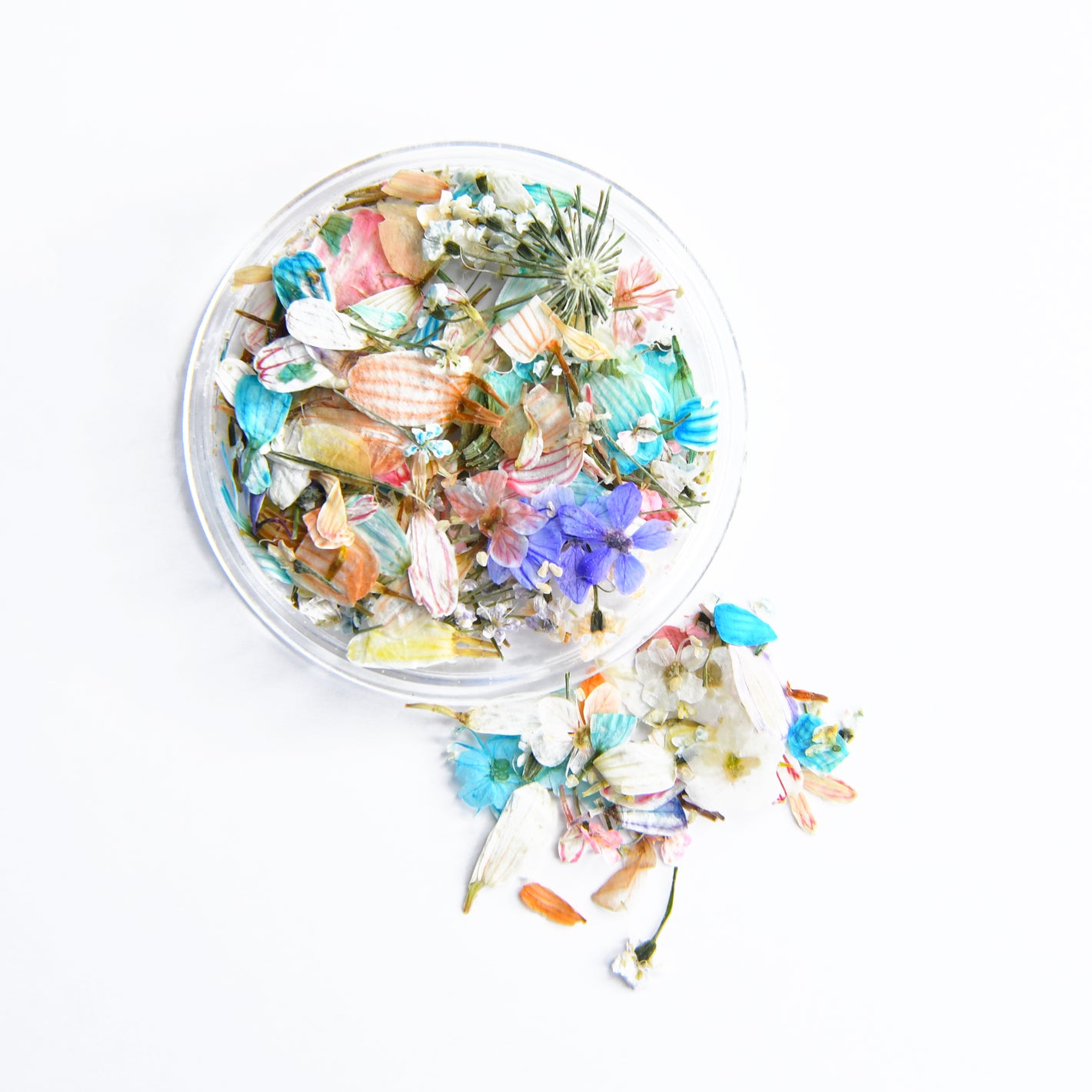 Dried Flowers -  #09