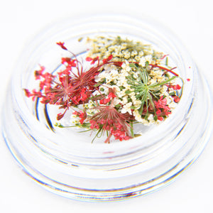 Dried Flowers - #01 — detail view 3